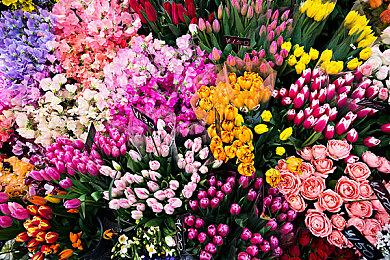 《反转21克》定档5月30日，7位红颜等你开启赛博科幻之旅！